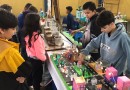 Segundo "Viva a Ciência" integra escolas da rede municipal de Beltrão