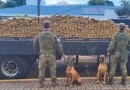 BPFRON e Polícia Federal apreendem 550 quilos de maconha e causam prejuízo de R$ 2 milhões ao crime