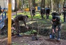 Ação conjunta promove plantio de mudas nativas às margens do Córrego Urutago
