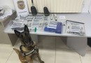 PCPR e PMPR realizam operação e prendem pessoas por tráfico e furto