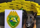 Mulher é presa com mais de 25 quilos de maconha em ônibus interestadual
