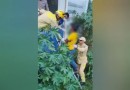 Homem que mora embaixo de ponte sofre queda e é socorrido pelo Corpo de Bombeiros