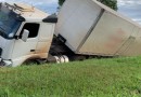 Caminhão carregado com 13 mil pães tomba na marginal da BR 277