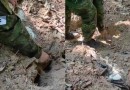 Corpos de homens desaparecidos no caso de Icaraíma podem estar em cemitério clandestino