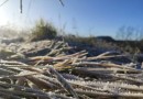 Geada altera paisagens de Francisco Beltrão neste domingo