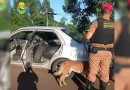 Operação da Polícia Rodoviária apreende 124 pneus sem documentação fiscal em Santa Tereza Do Oeste