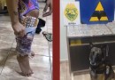 Coladas nas canelas: cão farejador descobre mulheres contrabandeando mais de mil ampolas de canetas emagrecedoras em ônibus