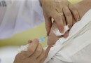 Perto do verão: Saúde reforça necessidade da vacinação e cuidados contra a febre amarela