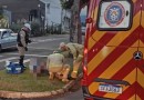 Homem é atropelado por carro e motorista foge sem prestar socorro