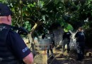 PCPR deflagra Megaoperação contra o crime organizado