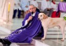 “Cãoroinha?”: cachorro vira presença nas missas e encanta fiéis no Paraná