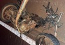 Casal morre em grave acidente entre moto e caminhonete na BR-163