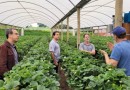 Projeto de pesquisa vai testar tecnologia para reduzir perda de água na irrigação