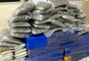 PRF apreende quase 240 kg de maconha e skunk na BR 282