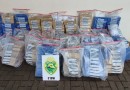 Polícia apreende meia tonelada de maconha após perseguição