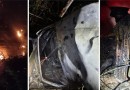 Motorista fica ferido após carro capotar e pegar fogo na PR-281