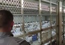 Rafitec inicia operações com mão de obra de presos