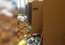 Igreja Matriz de Palmas é alvo de furto e suspeitos são detidos em operação policial