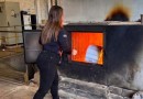 Polícia Civil de Palmas destrói 260 quilos de drogas