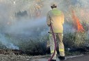 Corpo de Bombeiros combate incêndio em vegetação