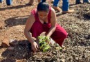 Horta Comunitária Terra Nossa ganha novos canteiros e reúne moradores em oficina