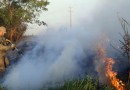 Estado lança nesta semana campanha de prevenção e combate a incêndios florestais
