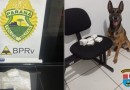 BPRv apreende mais de 900 gramas de cocaína e realiza duas prisões por tráfico no sudoeste do Paraná