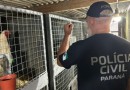 PCPR apreende 390 animais em megaoperação contra rede de tráfico internacional