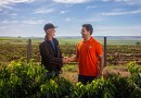 Cresol antecipa recursos do Plano Safra para produtor se planejar no campo