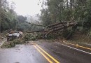 Defesa Civil confirma terceira morte por causa da chuva que atinge o RS; uma pessoa está desaparecida