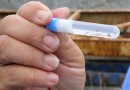 Mutirão contra a Dengue acontece no sábado (02)