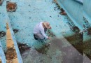 Infestação do Aedes tem redução em Beltrão