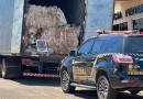 PF apreende caminhão com 11 toneladas de sucata de plástico na fronteira