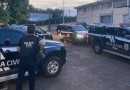 Homem é preso por furtar cadela pitbull e praticar zoofilia