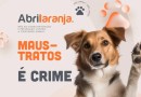 Ações de conscientização contra maus-tratos a animais são realizadas