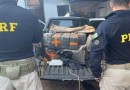 Carga de 625 kg de maconha é encontrada em carro roubado após fuga