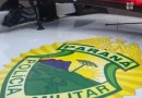 Morador denuncia derrubada de árvores e danos em propriedade rural
