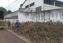 Prefeitura intensifica poda e trituração de galhos