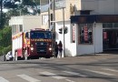 Bombeiros são acionados para salvamento de animal no centro