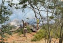 Incêndio atinge barracão às margens da PR-483