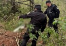 Mulher encontrada morta em área de mata é identificada como moradora de São Miguel do Oeste