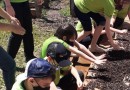 Projeto Plantando Vida completa 15 anos