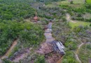 De olho num Carnaval natural? Parques do Paraná têm flora rica e cores exuberantes