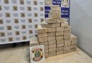Avião com 424 kg de cocaína avaliada em R$ 200 milhões cai em fazenda no Pará