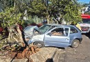 Homem fica ferido após colidir carro em árvore