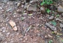 Mulher com deficiência que estava desaparecida em Capanema é encontrada morta com sinais de abuso