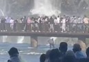 Turista se arrisca para recuperar celular nas Cataratas do Iguaçu