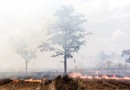 Agosto também é o mês de prevenção e combate aos incêndios e queimadas