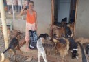 Com 63 anos Dona Nira cuida de quase 70 cães em sua casa