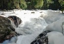 Joinville decreta emergência após vazamento de ácido sulfônico